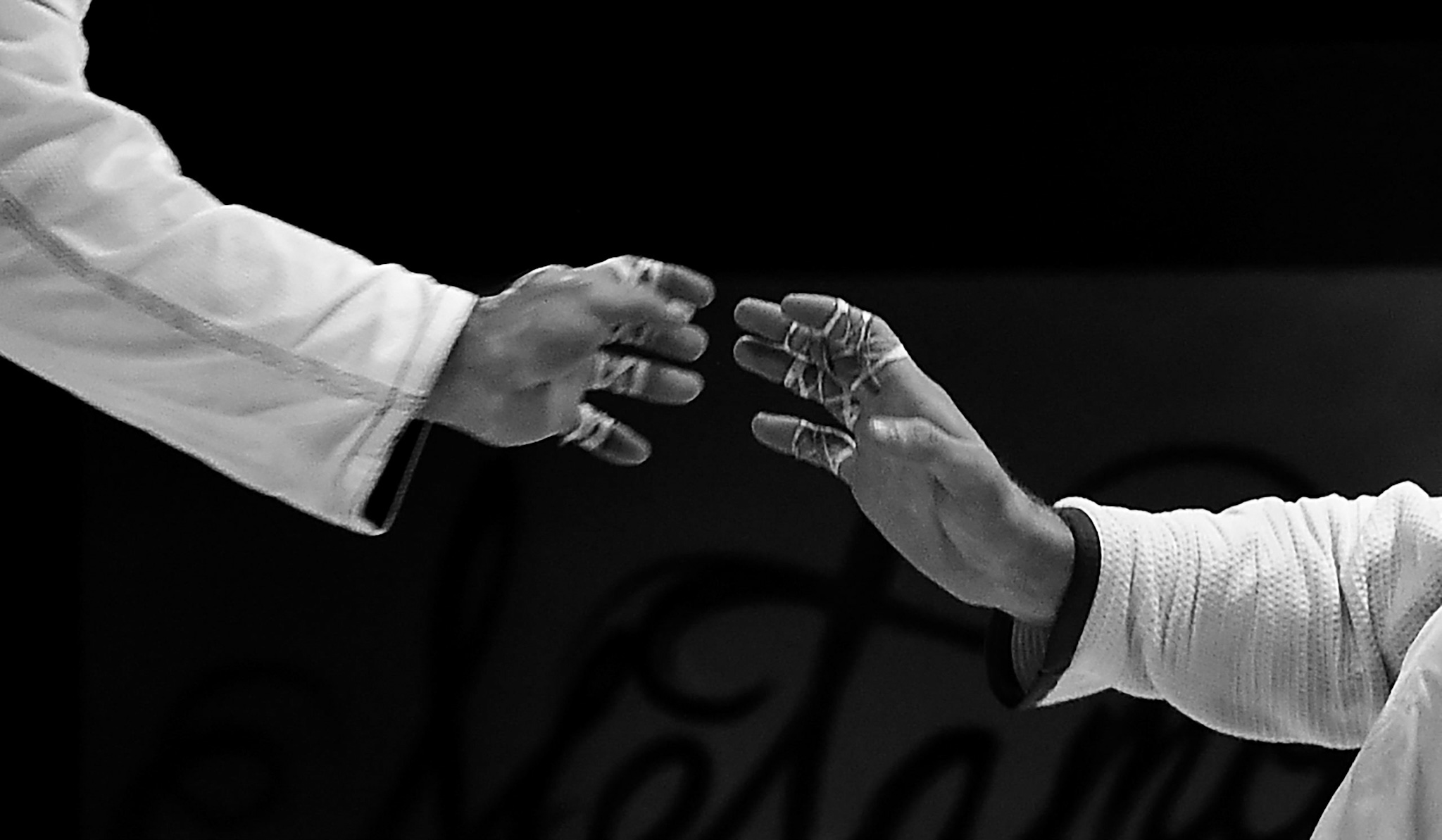 metamoris6highres-159 copy